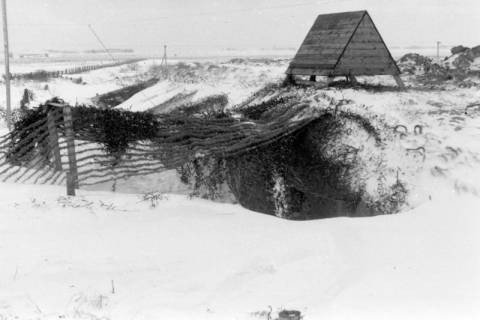 ARH NL Dierssen 0102/0012, Flakstellung mit Tarnung, um 1944