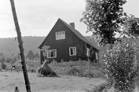 ARH NL Dierssen 0121/0014, Haus der Familie Conrad, 1948