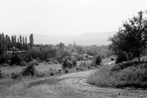 ARH NL Dierssen 0125/0003, Blick auf Völksen, 1948