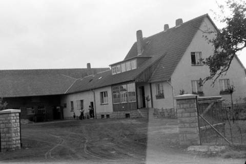 ARH NL Dierssen 0125/0025, Gärtnerei, ohne Datum