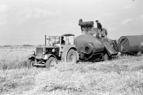 ARH NL Dierssen 0127/0004, Mähdrescherbinder, 1948