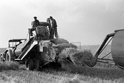 ARH NL Dierssen 0127/0005, Mähdrescherbinder, 1948