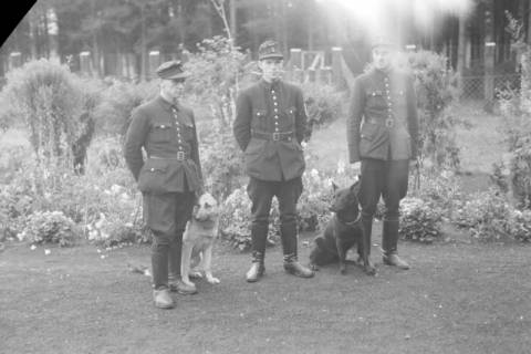 ARH NL Dierssen 0129/0016, Abrichteanstalt, Hachmühlen, 1948