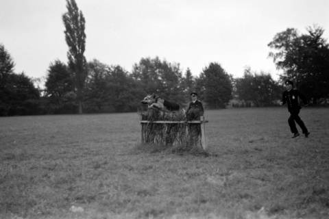 ARH NL Dierssen 0131/0007, Abrichteanstalt, Hachmühlen, ohne Datum