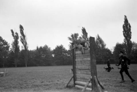 ARH NL Dierssen 0131/0008, Abrichteanstalt, Hachmühlen, ohne Datum