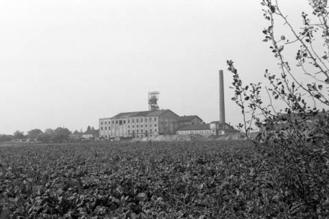 ARH NL Dierssen 0132/0020, Kalischacht "Deutschland", Weetzen, 1948