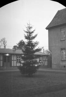 ARH NL Dierssen 0136/0003, Weihnachtsbaum vor dem Rathaus, Springe, 1948