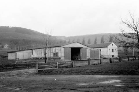 ARH NL Dierssen 0139/0013, Lagerschuppen von Felix Tief, Springe, 1949