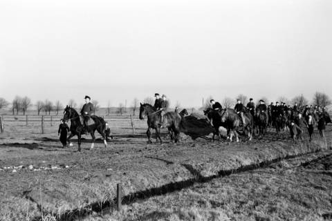 ARH NL Dierssen 0140/0013, Reiterausflug zum Saupark, Springe, 1949