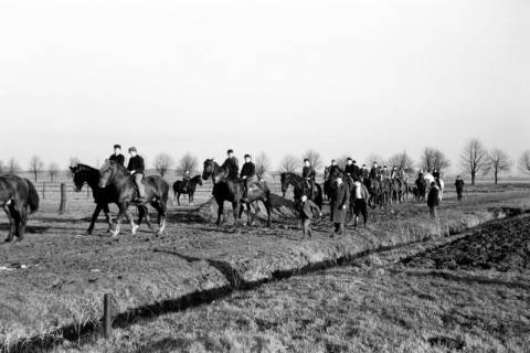 ARH NL Dierssen 0140/0014, Reiterausflug zum Saupark, Springe, 1949