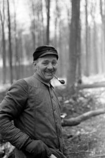 ARH NL Dierssen 0140/0020, Holzfäller im Saupark, 1949