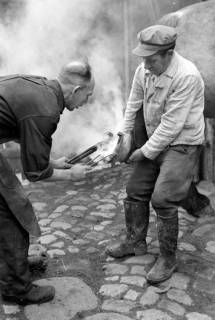 ARH NL Dierssen 0148/0014, Hufschmied, um 1949