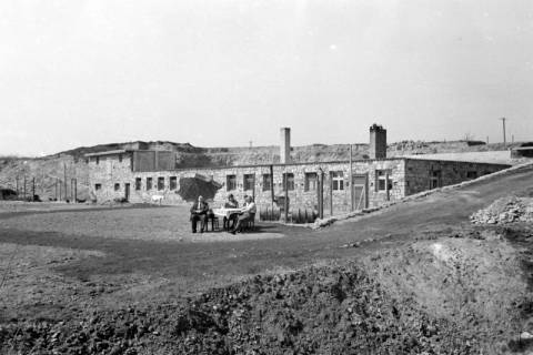 ARH NL Dierssen 0157/0001, Familie Graf, 1949