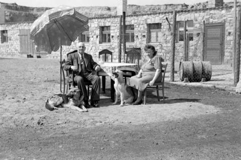 ARH NL Dierssen 0157/0002, Familie Graf, 1949