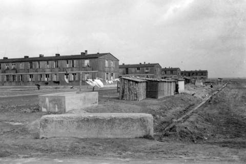 ARH NL Dierssen 0162/0003, Finnenhäuser, 1949