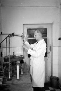 ARH NL Dierssen 0163/0006, Milchprüfer, 1949