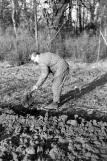 ARH NL Dierssen 0164/0021, Herr Barrenschee beim Graben, 1949