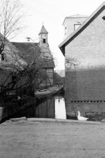 ARH NL Dierssen 0164/0022, Dorfbach, 1949