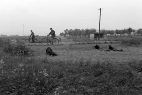 ARH NL Dierssen 0169/0002, Aufnahmen für Kripo - Mordtatort, 1949