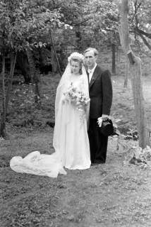 ARH NL Dierssen 0170/0011, Hochzeit Diedrichs, 1949
