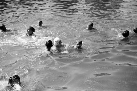 ARH NL Dierssen 0174/0005, Schwimmfest, 1949