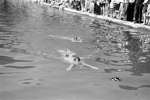 ARH NL Dierssen 0174/0022, Schwimmfest, 1949
