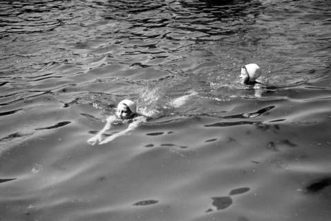 ARH NL Dierssen 0174/0027, Schwimmfest, 1949