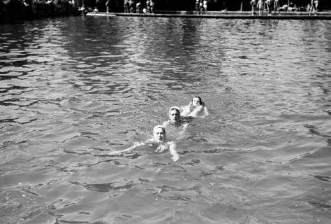 ARH NL Dierssen 0175/0002, Schwimmfest, 1949