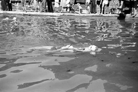 ARH NL Dierssen 0175/0003, Schwimmfest, 1949