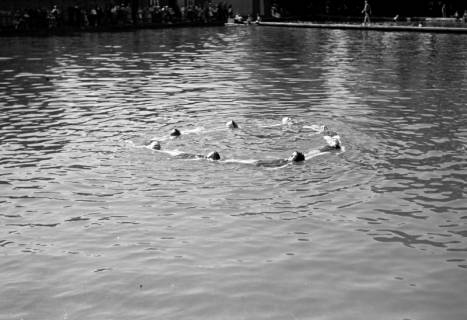 ARH NL Dierssen 0175/0019, Schwimmfest, 1949