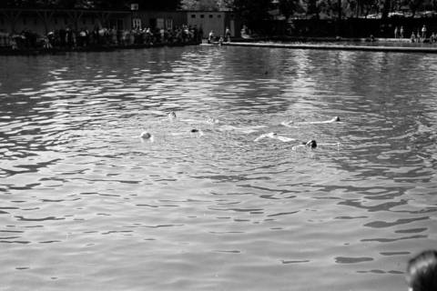 ARH NL Dierssen 0175/0022, Schwimmfest, 1949