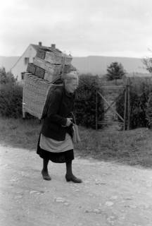 ARH NL Dierssen 0175/0025, Kiepenfrau mit Erdbeeren, 1949