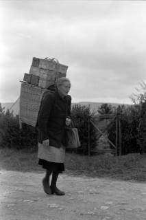 ARH NL Dierssen 0175/0026, Kiepenfrau mit Erdbeeren, 1949