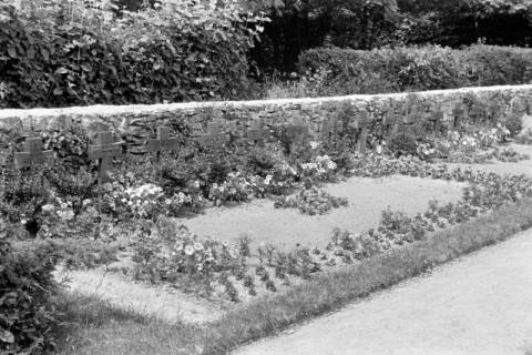 ARH NL Dierssen 0182/0016, Russische Kriegsgräber, 1949