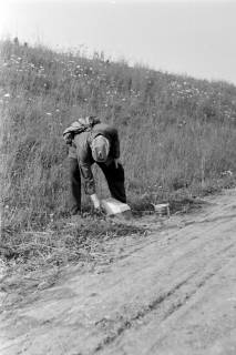 ARH NL Dierssen 0185/0008, Kilometer-Stein-Anstreicher, 1949