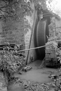 ARH NL Dierssen 0185/0014, Wasserrad, 1949