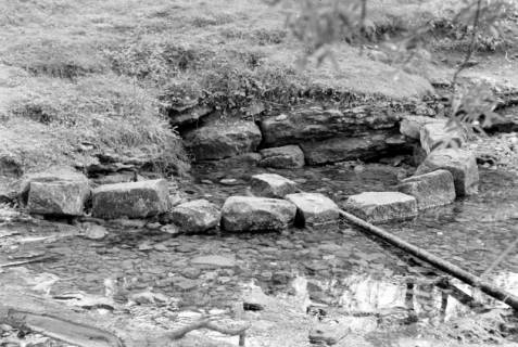 ARH NL Dierssen 0185/0020, Quelle der Hamel, 1949