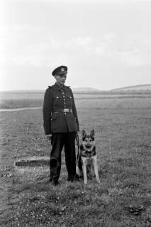 ARH NL Dierssen 0186/0002, Abrichteanstalt, Hasperde, 1949