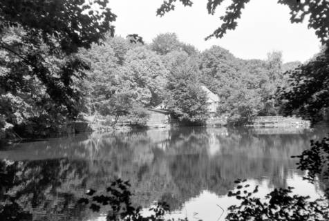 ARH NL Dierssen 0190/0015, Holzmühle, 1949