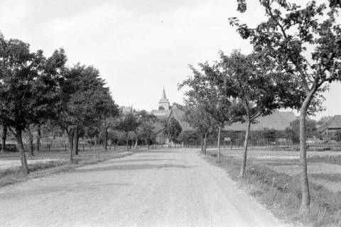 ARH NL Dierssen 0194/0010, Blick auf Lüdersen, 1949