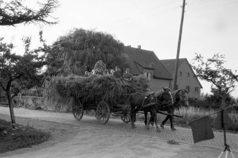 ARH NL Dierssen 0194/0013, Erntefest, 1949