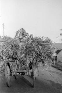 ARH NL Dierssen 0194/0014, Erntefest, 1949