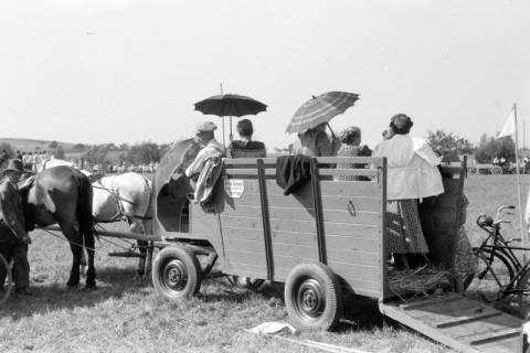 ARH NL Dierssen 0196/0004, Reittunier, 1949