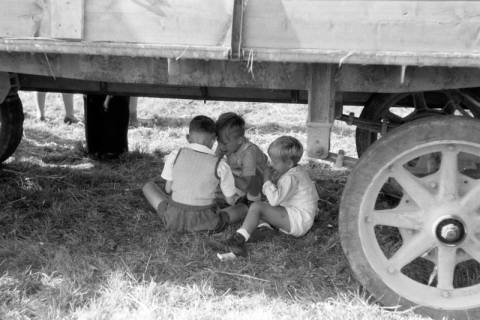ARH NL Dierssen 0196/0009, Reittunier, 1949
