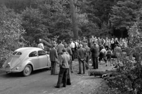 ARH NL Dierssen 0200/0016, Polizei-Ausflug, 1949