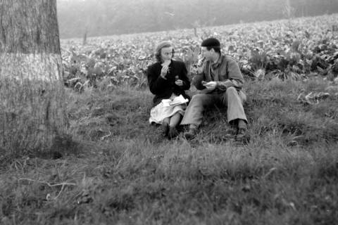 ARH NL Dierssen 0202/0011, ED und Gerhard Dierssen, 1949