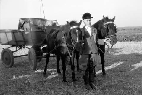 ARH NL Dierssen 0203/0013, Reiterfest, 1949