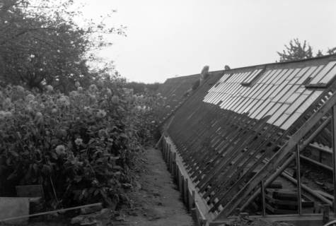 ARH NL Dierssen 0204/0012, Gärtnerei Salow, 1949
