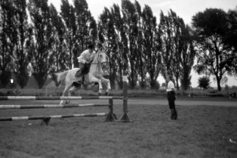 ARH NL Dierssen 0207/0002, Reittunier (Tag des Roten Kreuzes), 1949