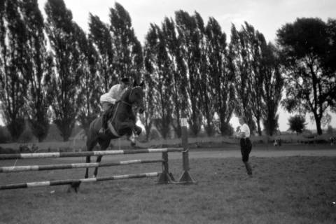ARH NL Dierssen 0207/0003, Reittunier (Tag des Roten Kreuzes), 1949